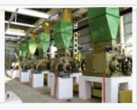 Seed Preparation Equipment